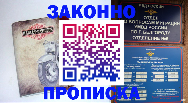 прописка для школы в Чкаловске